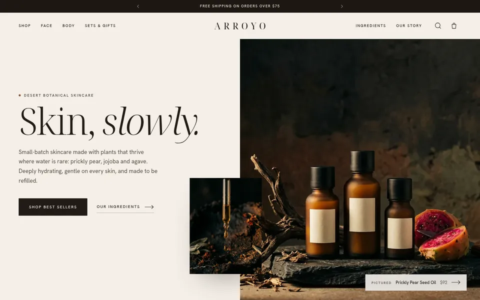 The Shop template’s home page