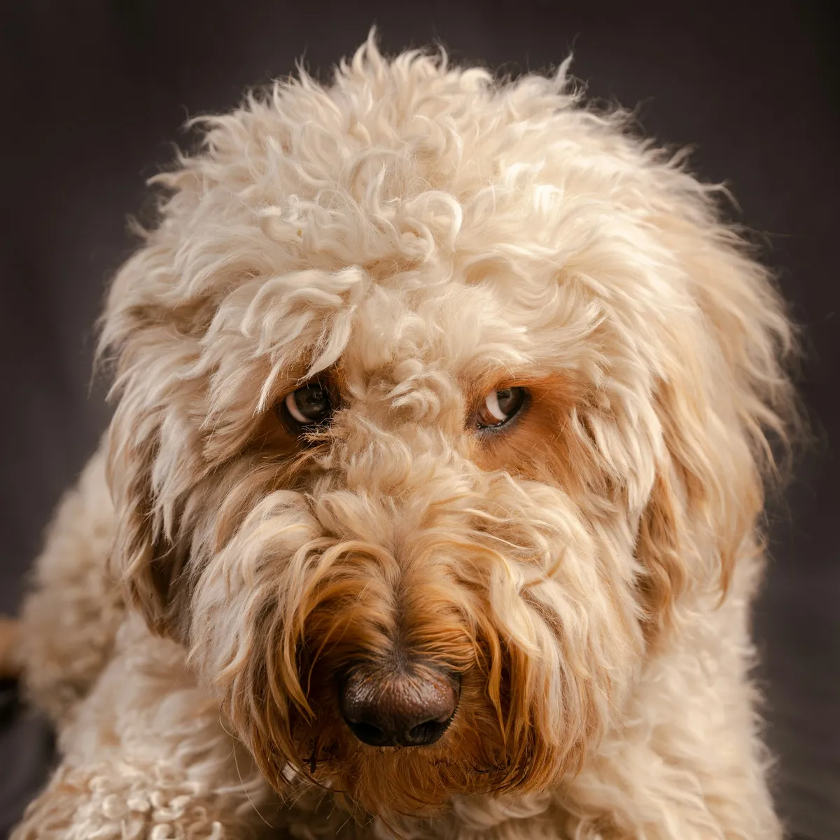 Before: Full groom before the groom