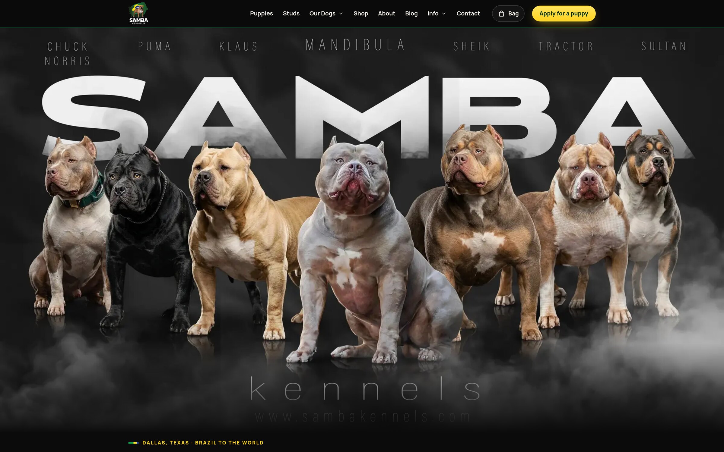 Samba Kennels Home page with the full lineup of dogs under the Samba name and the menu up top