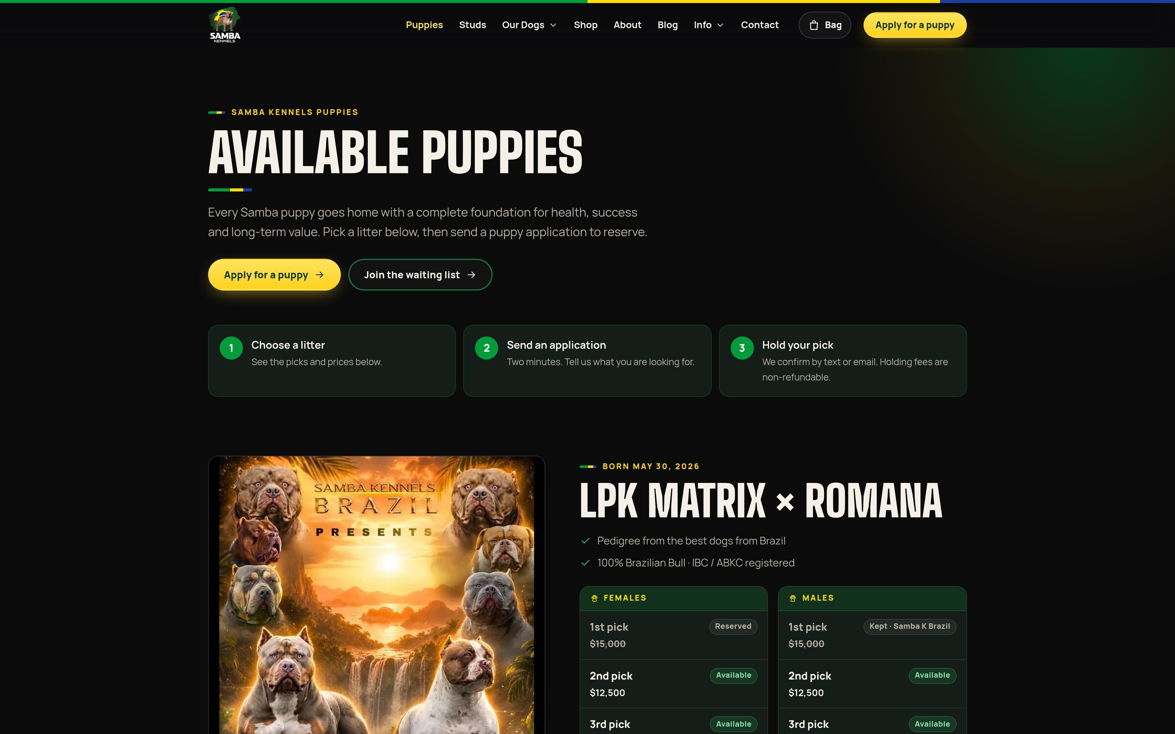 Samba Kennels Puppies page with the three steps to reserve and each litter's picks, prices and status